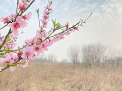 -汉长安城未央宫国家考古遗址公园