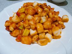 -紫光园·烤鸭·北京菜(团结湖店)