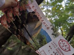 -吉林市朱雀山国家森林公园