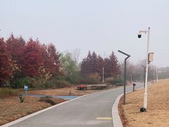 -蜀冈西峰生态公园