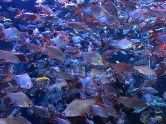 -成都浩海立方海洋公园