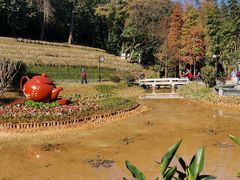 -广州市白云山风景名胜区