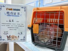 -达爱动物医院·犬猫分区·CT·复杂眼科(远洋山水分院)