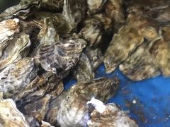 -晓伟海鲜家常菜