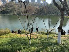 -重庆彩云湖湿地公园