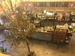 -Cafe Alice咖啡爱丽丝(奥城店)