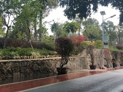 -仙岳公园
