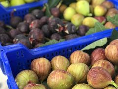 -金谷域澳洲庄园