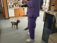 -瑞派雷欧宠物医院·中兽医·眼科·急重症转诊中心(黄台店)