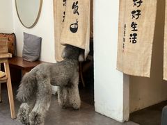 -沏点Trattoria意大利餐厅(新街口店)