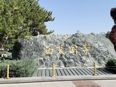 -张掖大佛寺景区