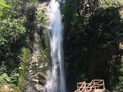 -莫里热带雨林景区