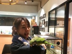 -藦茜花园宠物主题亲子互动体验馆(国顺东路店)