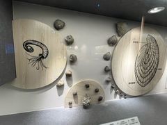 -贵州省地质博物馆