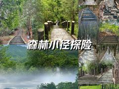 -田心森林公园