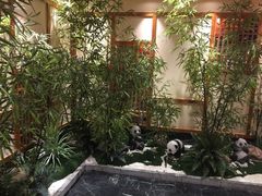 -锦绣金山人家(友谊店)