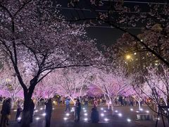 -西北湖绿化广场