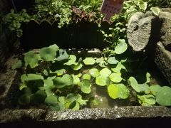 -品腐记·豆腐王朝(老门东总店)