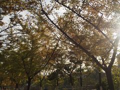 -江南大学(蠡湖校区)