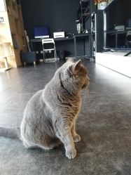 -飛凡TATTOO纹身•原创