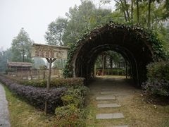 -成都保利公园皇冠假日酒店(熊猫基地店)