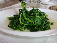 蒜泥茼蒿-丁老爷子苏香圆