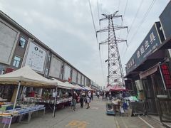 -中环花鸟鱼虫市场