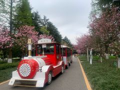 -花溪公园