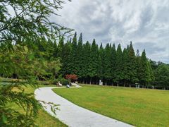 -宜兴龙背山森林公园
