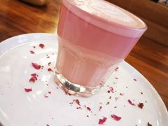 -more than meow吴止猫主题餐厅(承德 中船汇店)