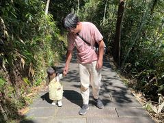 -九龙江国家森林公园