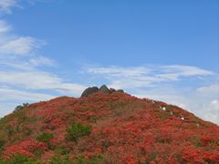 -大围山国家森林公园
