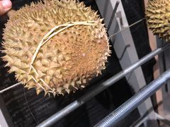 -都念榴莲·城市榴莲