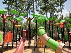 -合肥滨湖国家森林公园