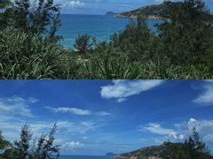-广东惠东海龟国家级自然保护区