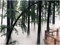-东湖落雁景区