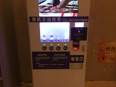 -宁夏博物馆