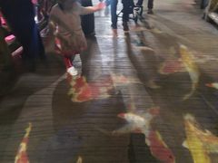 -泉城欧乐堡海洋极地世界