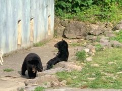 -宁波野生动物园