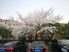 -太仓玛丽蒂姆花园酒店·雅轩中餐厅(人民北路店)