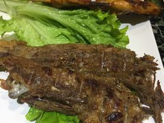 -城一锅涮烤羊蝎子·烤串