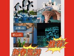 -石家庄极地海洋世界