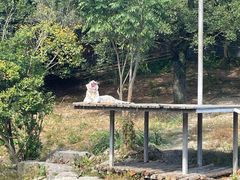 -宁波野生动物园