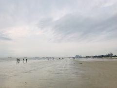 -北海金海湾红树林生态旅游区