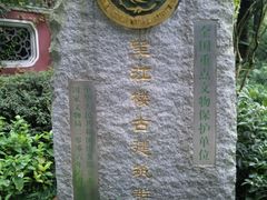 DVC00023-望江楼公园