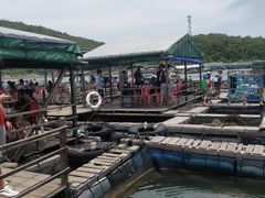 -海上驿站渔家菜馆