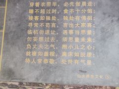 -观澜山水田园