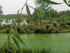 -东郊湿地公园