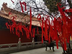 -宝通禅寺