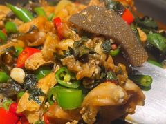 -淘蛙(广州星寰国际商业中心店)